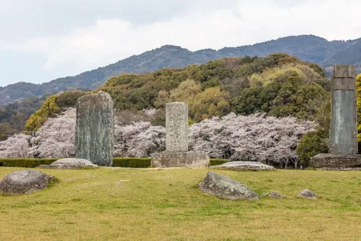 太宰府天滿宮_太宰府政廳遺跡
