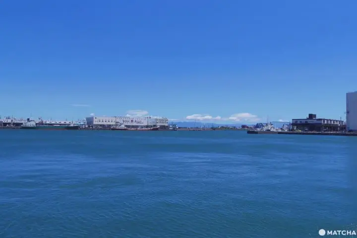 靜岡清水港海鮮