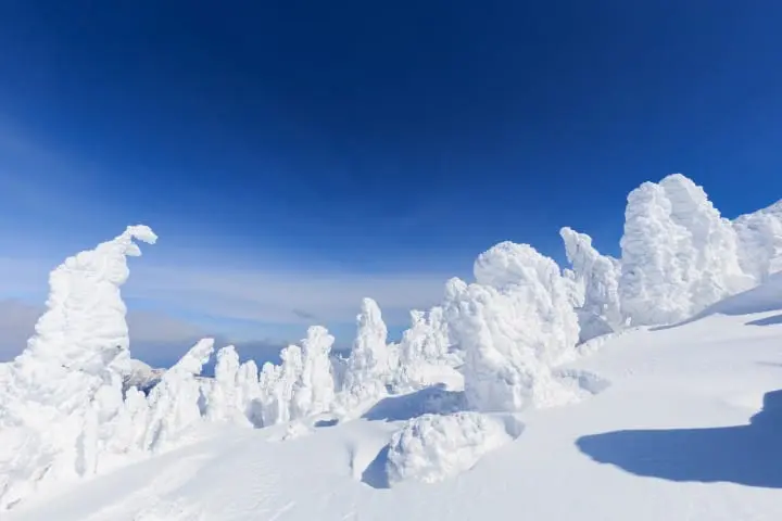 Snow Monsters of Zao