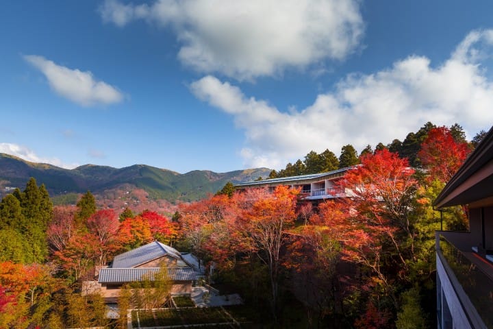 如诗如画 赏枫绝佳好去处 星野集团特色旅馆5选 Matcha 日本旅游网络杂志