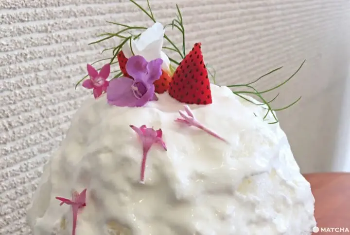 【奈良】夏天就要到冰之聖地吃刨冰！冰都奈良不可不吃刨冰5選