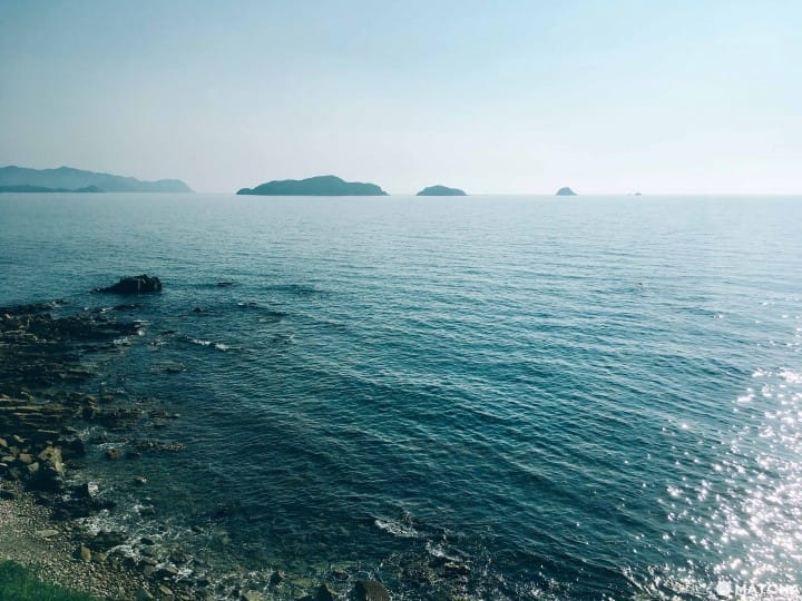 【山口】搭乘觀光小列車,在日本海的陪伴下,悠遊山口海岸線