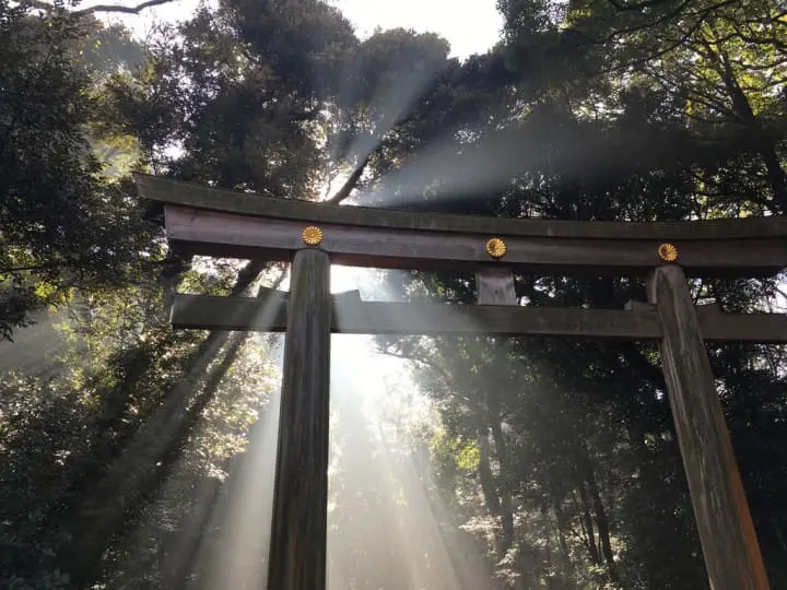 明治神宮 鳥居 台灣