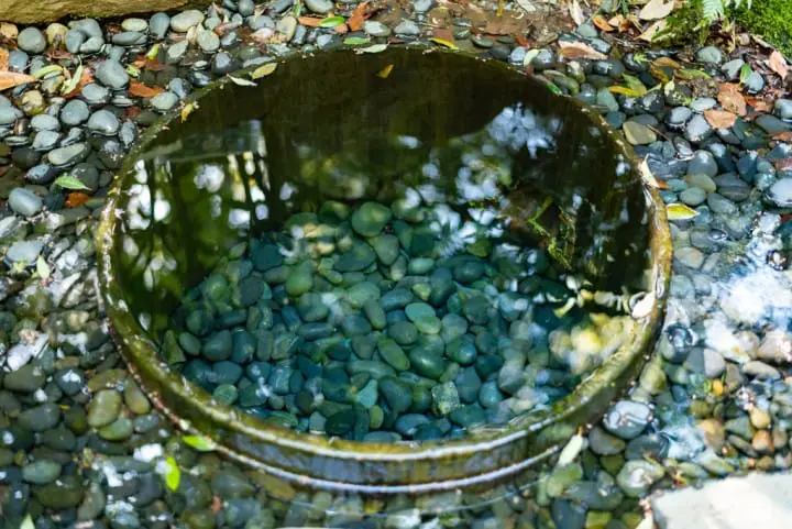 明治神宮　清正井