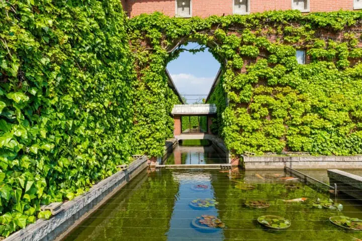 倉敷長春藤廣場 飯店