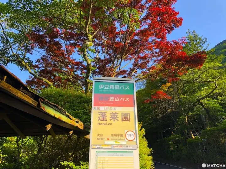 ［神奈川縣］來箱根山中的溫泉酒吧旅館住一晚吧！