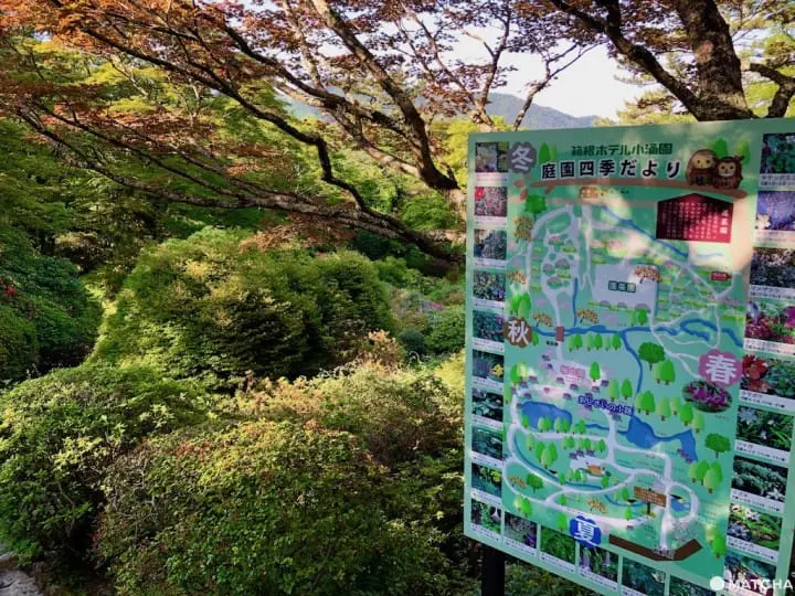 ［神奈川縣］來箱根山中的溫泉酒吧旅館住一晚吧！