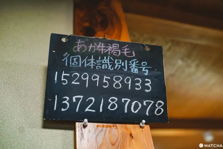 熊本美食_赤牛丼_いまきん食堂