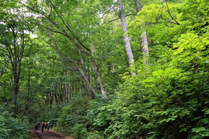 Minakami Hiking Tour