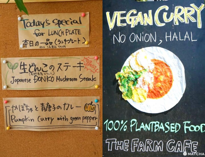 Marugoto Vegan Dining Asakusa