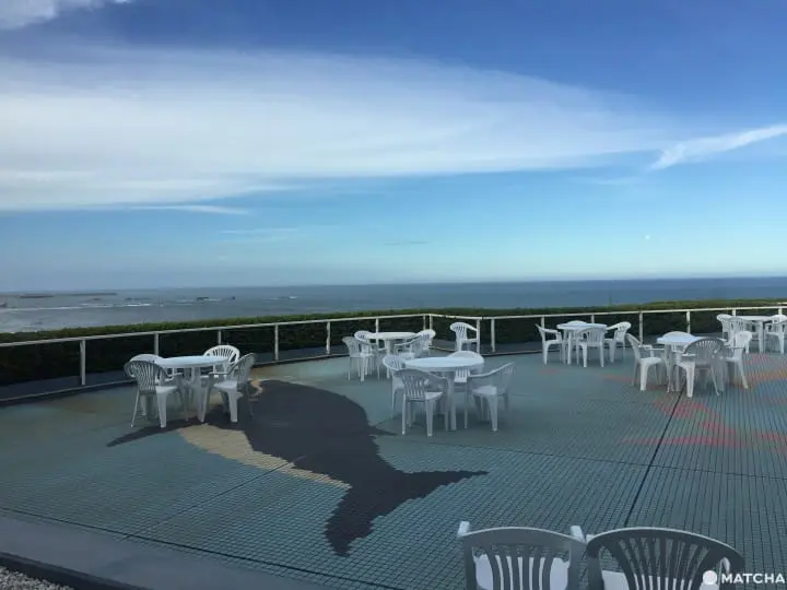 賞晨曦海鮮滿喫 千葉縣銚子市一日輕旅行