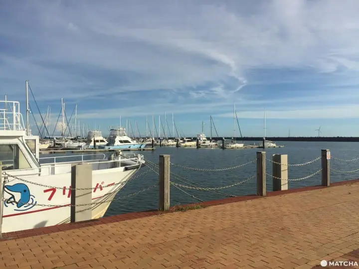 賞晨曦海鮮滿喫 千葉縣銚子市一日輕旅行