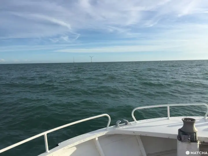 賞晨曦海鮮滿喫 千葉縣銚子市一日輕旅行