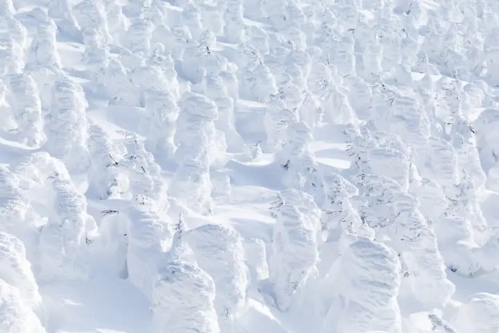 The Complete Guide to the Snow Monsters of Zao