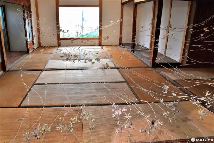 Setouchi International Art Festival Official Tour