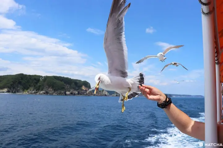 Scenery from Iwate Prefecture