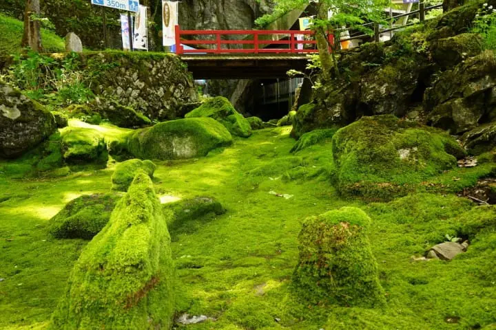 Scenery from Iwate Prefecture