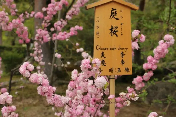 コナン『から红の恋歌』ロケ地14