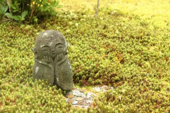 コナン『から红の恋歌』ロケ地21