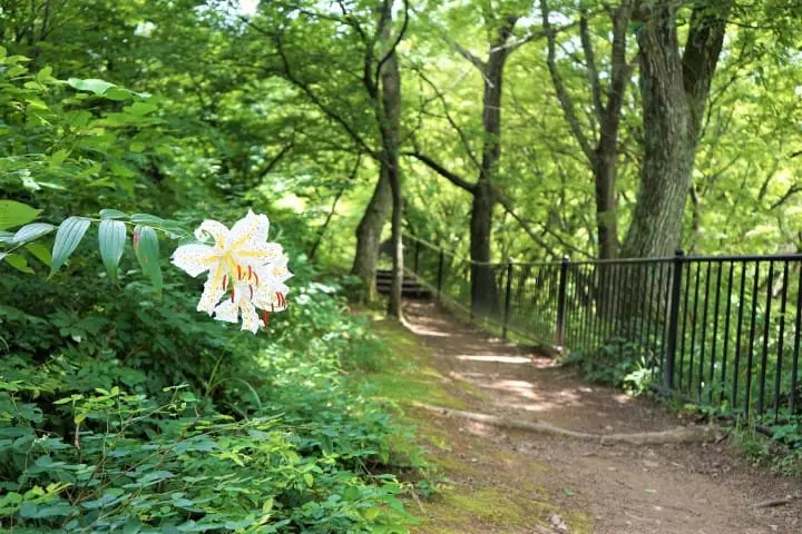Two-Day Trip To Minakami - Morning Canoe, Impressive Views, And Local Treats