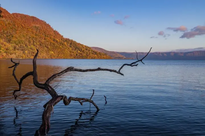 最遺世而立 – 青森奧入瀨溪流