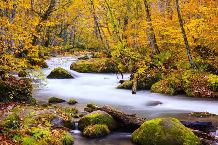 最遺世而立 – 青森奧入瀨溪流