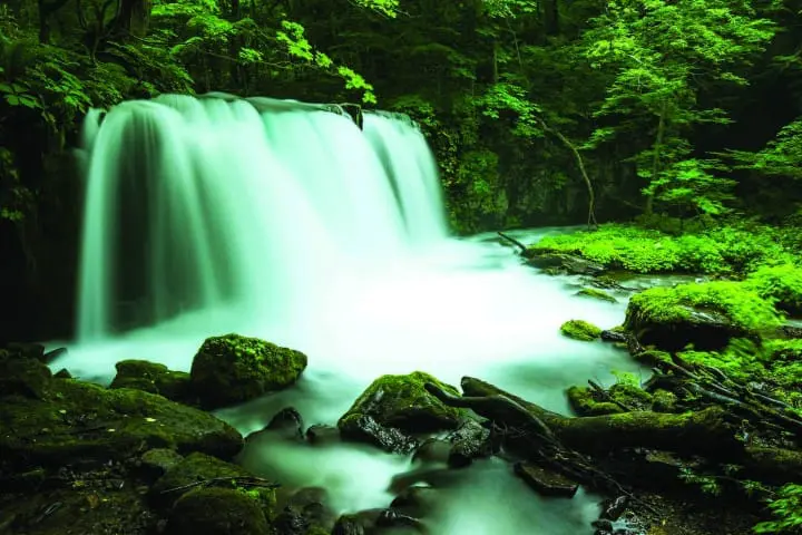 最遺世而立 – 青森奧入瀨溪流