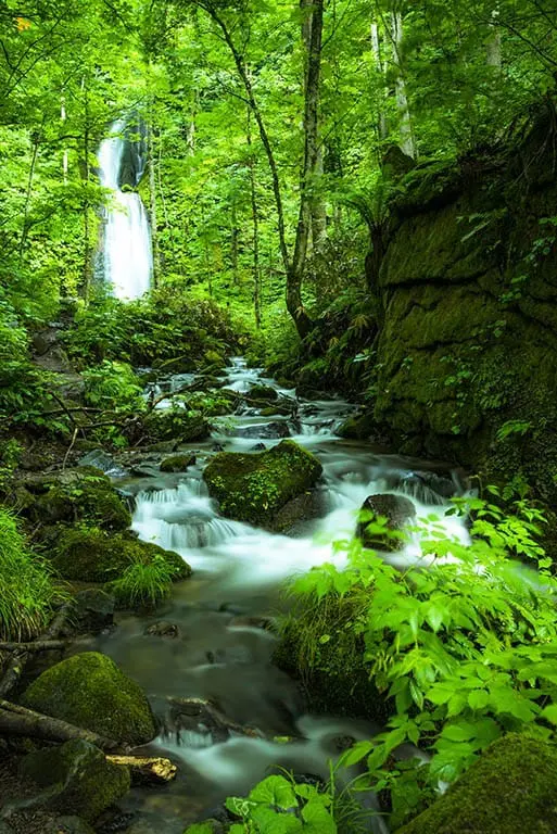 最遺世而立 – 青森奧入瀨溪流