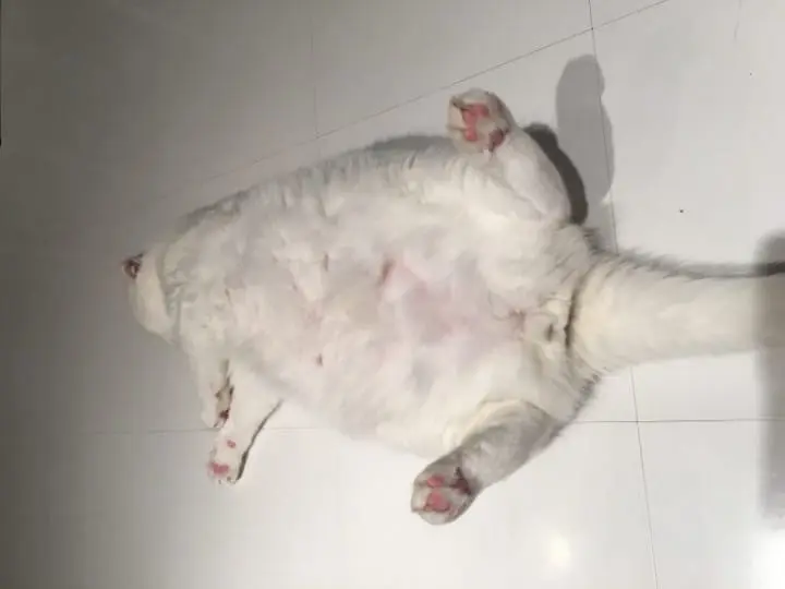 『汤を沸かすほどの热い爱』のロケ地銭汤へ行って、“汤を沸かすほどの热い思い出”をつくってきた