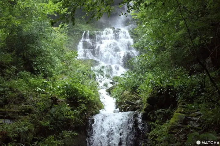 KitKat Meets BIJOFU Yuzu Sake Made In Kochi Prefecture