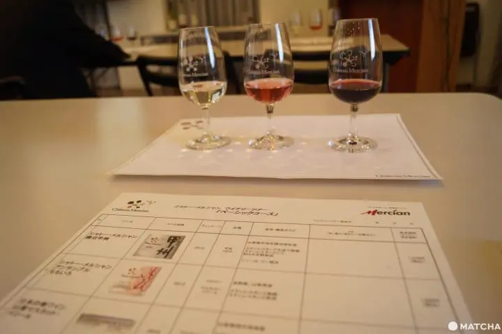 山梨でやりたい12のことー富士山、富士急、河口湖、富士五湖