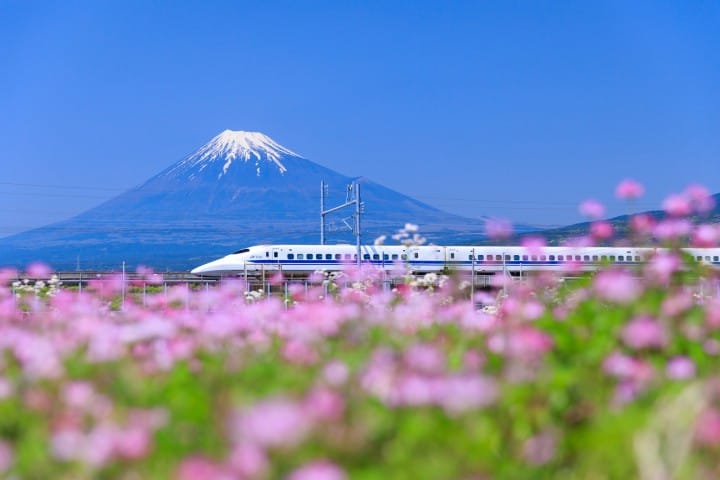 「富士之國家康公通票」靜岡深度之旅