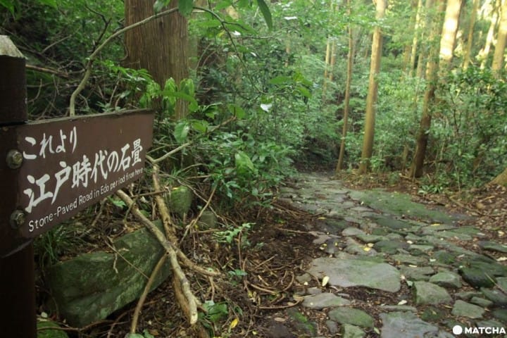 【箱根】曾让江户旅人“胆战心惊”的石板路—箱根旧街道