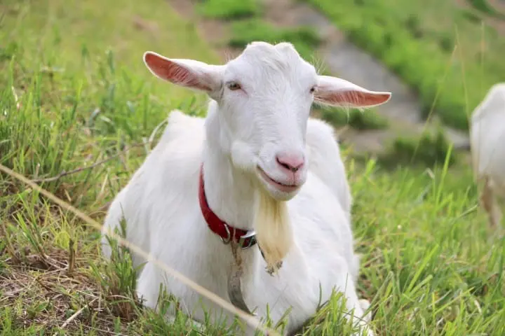 【聖地巡礼】『一週間フレンズ。』ロケ地・多摩市と日野市を巡ってきた！