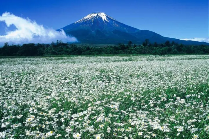 山中湖でやりたい8つのこと