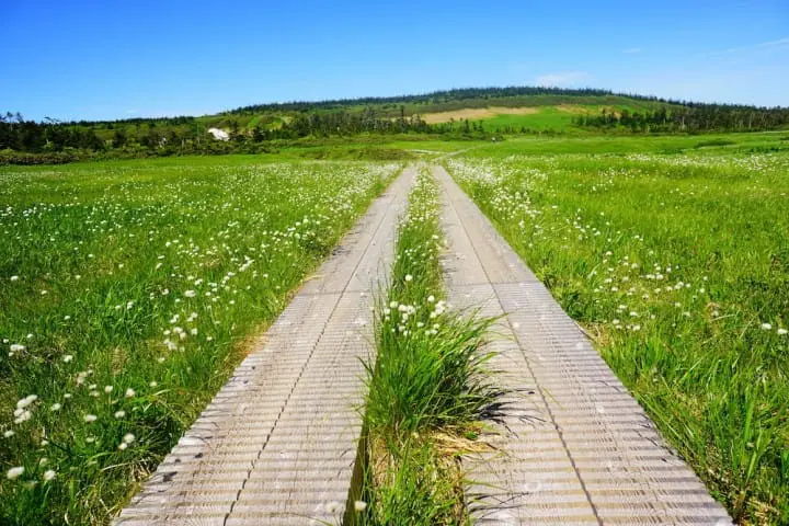 Iwate Prefecture - 7 Stunningly Beautiful Spots You Surely Won't Forget!