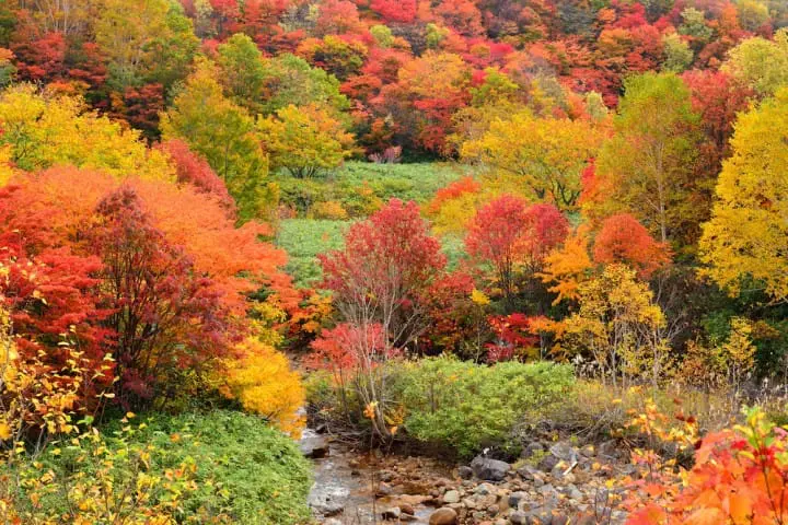 Iwate Prefecture - 7 Stunningly Beautiful Spots You Surely Won't Forget!