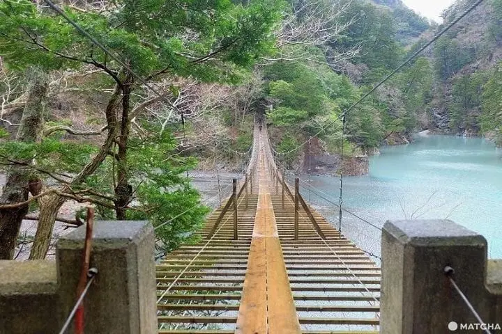 Shizuoka: 10 Must-Visit Spots in Tokyo's Nature-Rich Neighbor