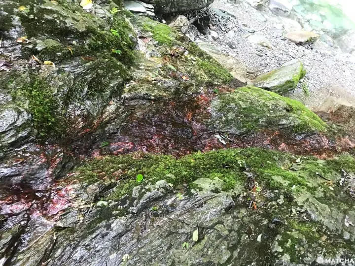 10 Things to do in Kochi Prefecture