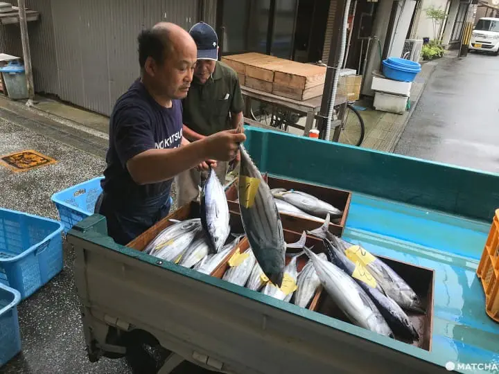 10 Things to do in Kochi Prefecture