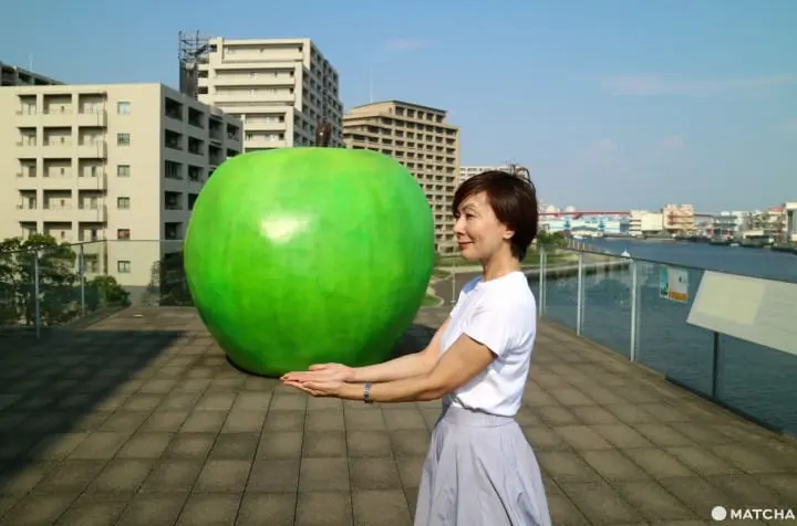 (仮)世界屈指の建築家・安藤忠雄氏の世界が体感できる兵庫県立美術館