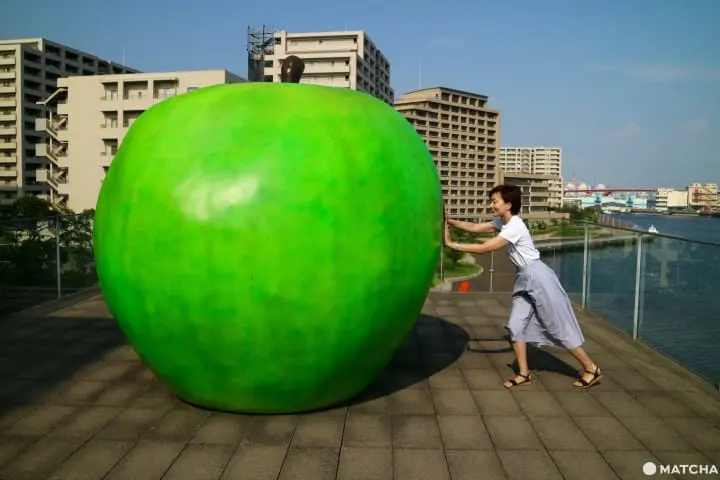 (仮)世界屈指の建築家・安藤忠雄氏の世界が体感できる兵庫県立美術館