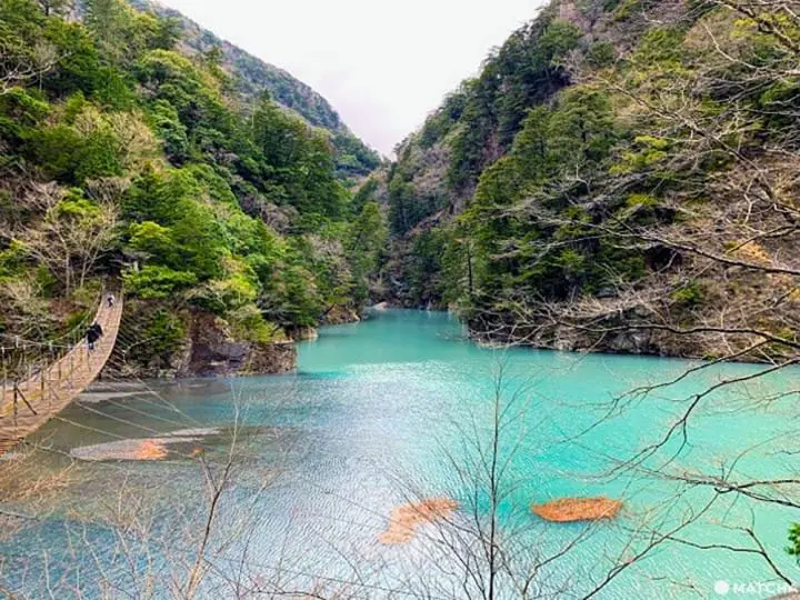 ยูเมะ โนะ สึริบาชิ สะพานแขวนแห่งความฝันเหนือผืนน้ำสีเขียวมรกตในชิซุโอกะ (Yume no Tsuribashi, Shizuoka)