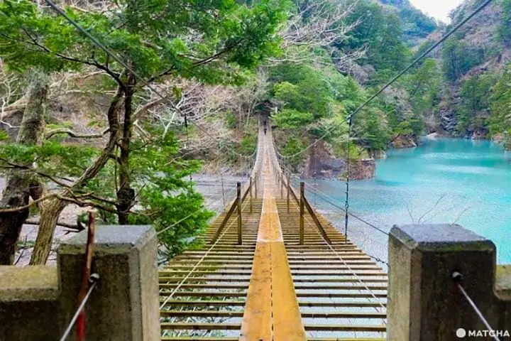 ยูเมะ โนะ สึริบาชิ สะพานแขวนแห่งความฝันเหนือผืนน้ำสีเขียวมรกตในชิซุโอกะ (Yume no Tsuribashi, Shizuoka)