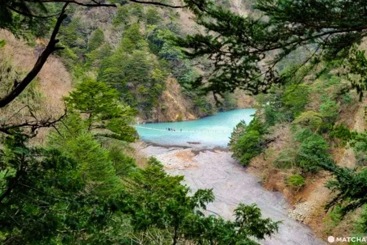 ยูเมะ โนะ สึริบาชิ สะพานแขวนแห่งความฝันเหนือผืนน้ำสีเขียวมรกตในชิซุโอกะ (Yume no Tsuribashi, Shizuoka)