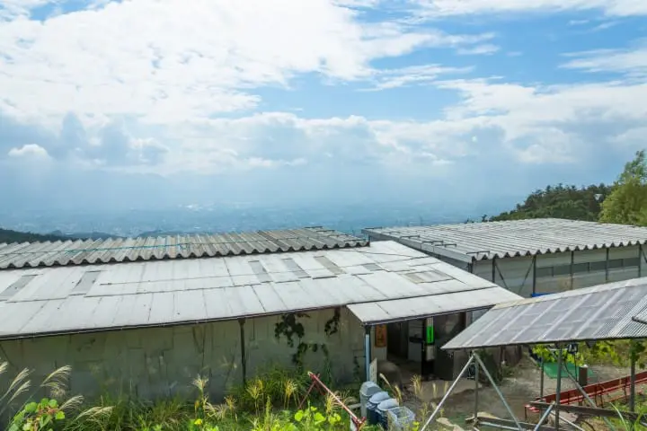 山梨でやりたい12のこと〜富士山、富士急、河口湖、富士五湖〜