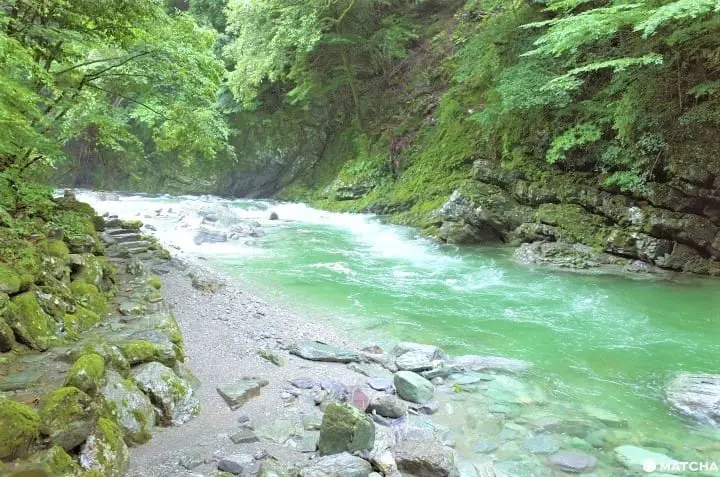 10 Things To Do In Kochi: Scenic Spots, History, And Cuisine