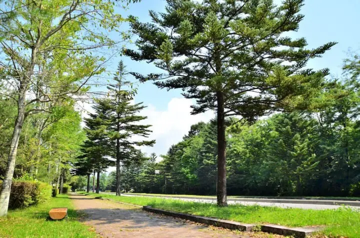 クラシックホテルから老舗旅館まで　軽井沢の高級ホテル4選