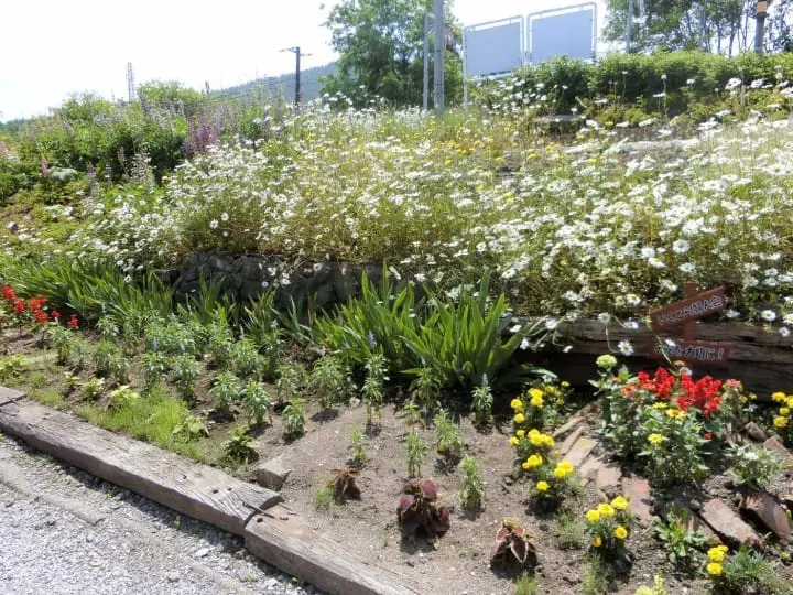 想像を越える『鉄道員（ぽっぽや）』の世界！幌舞駅に遊びに行ってみた！(前編)