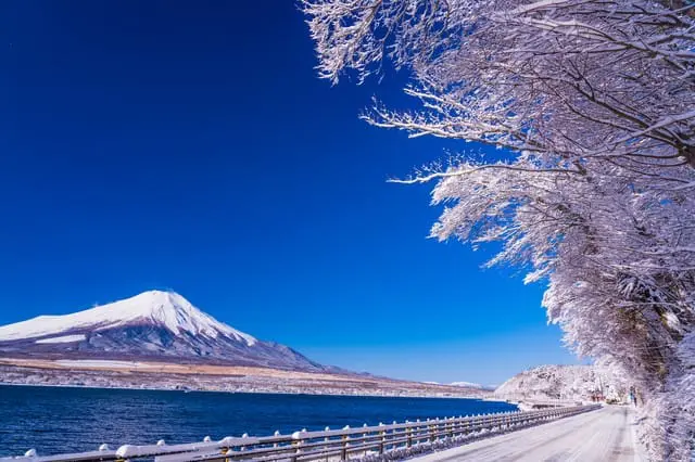 富士山のふもと・山中湖でやりたい8つのこと